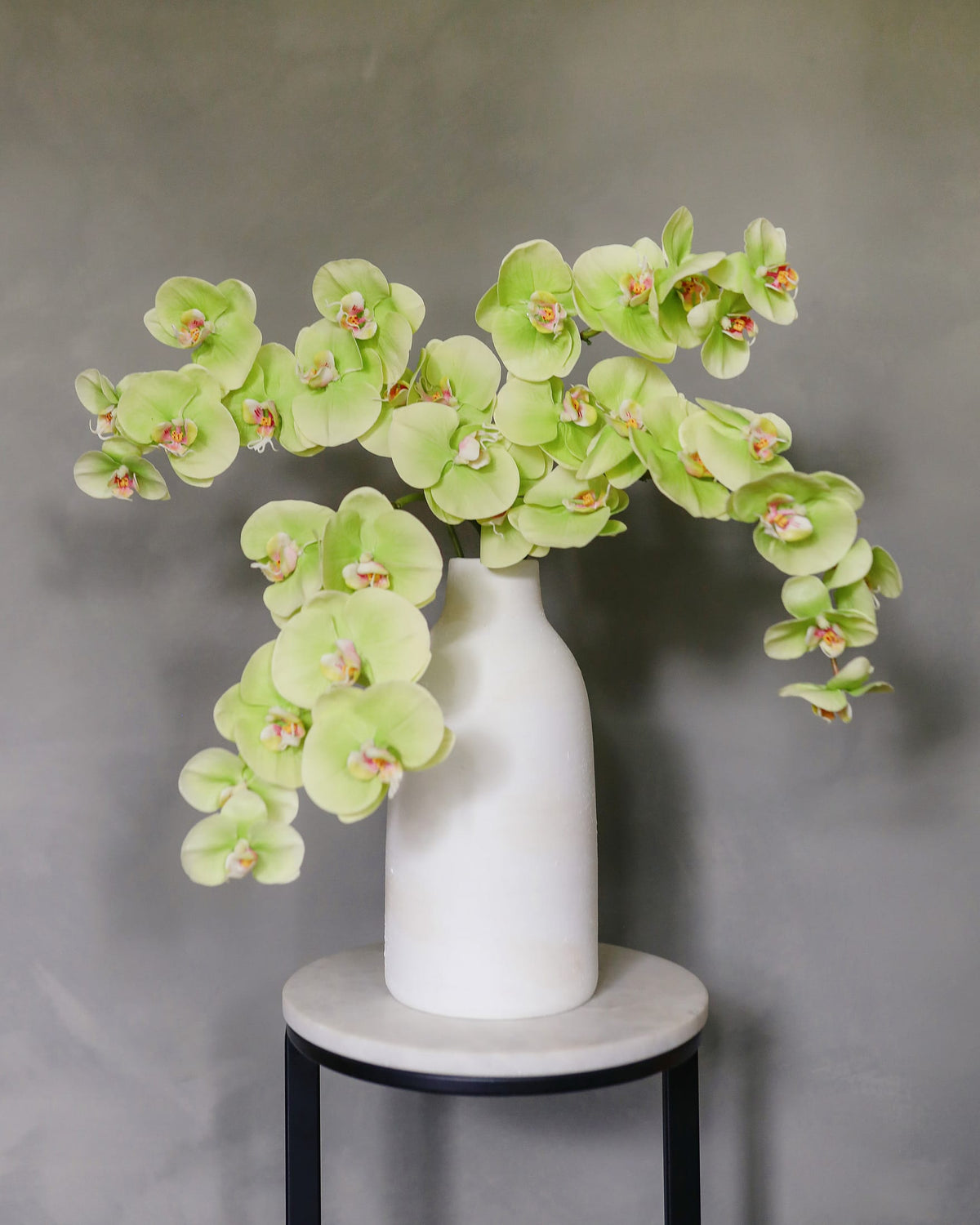 Green Artificial Phalaenopsis Orchids in a vase