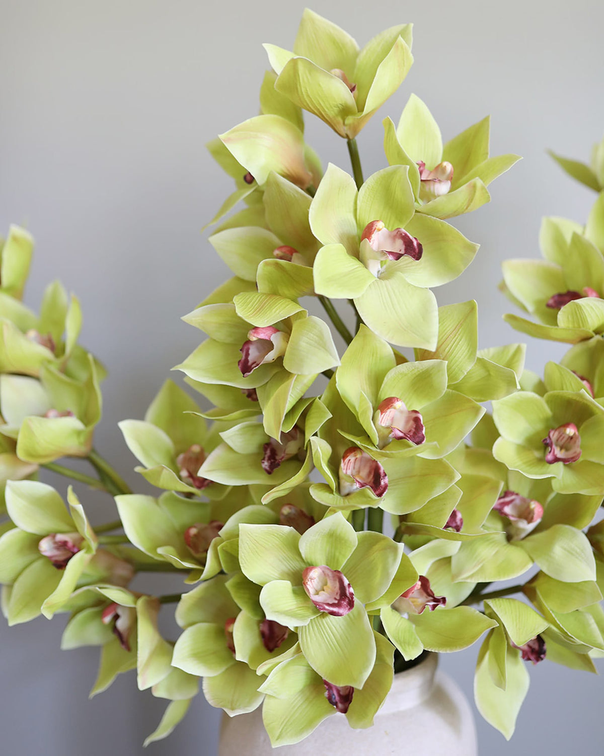 Artificial Green Large Cymbidium Orchids in a vase