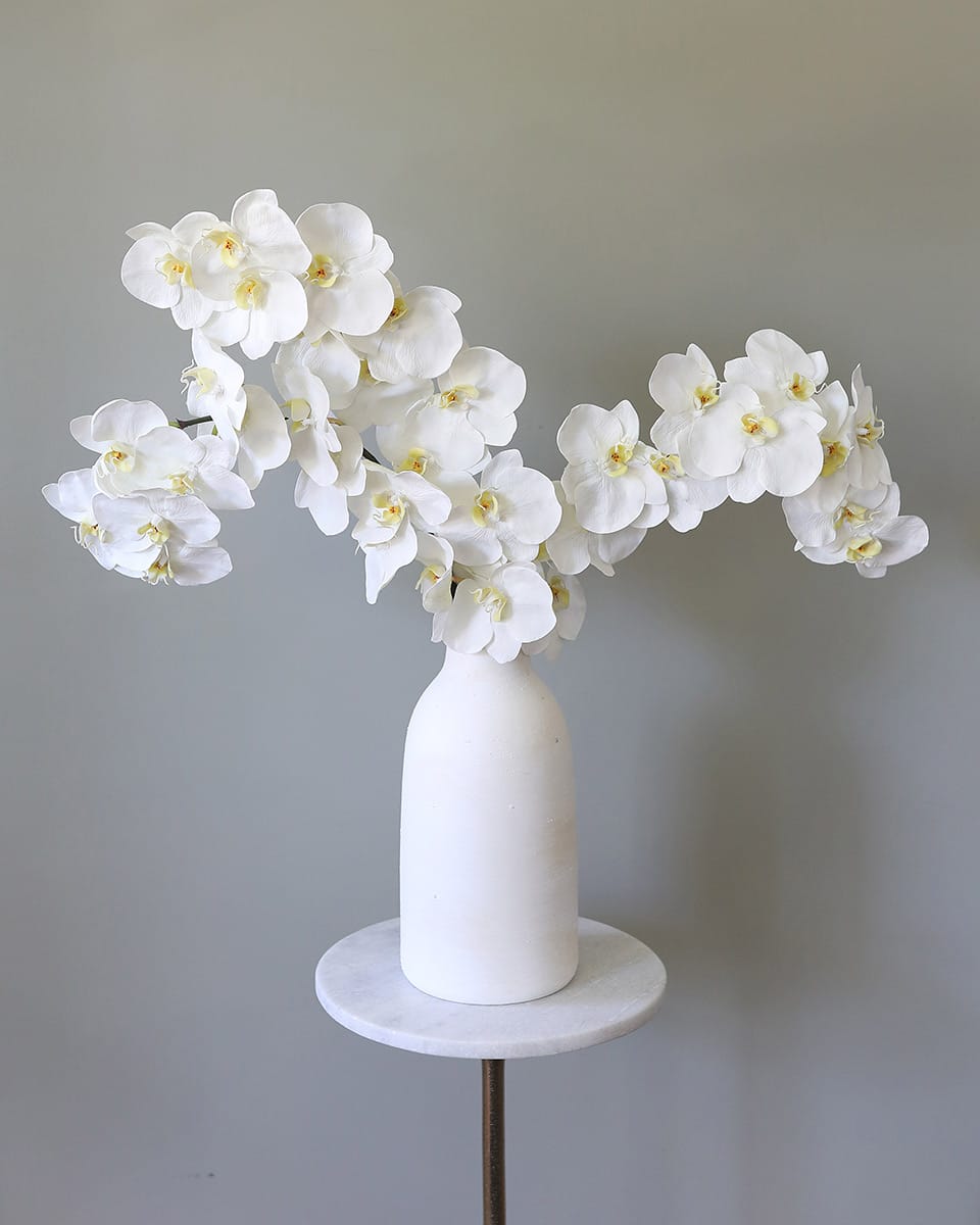 White Premium Phalaenopsis Orchids Arrangement