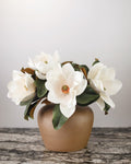 Magnolia
