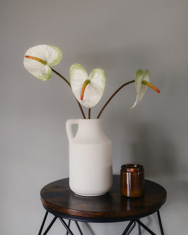 anthurium technology international limited Painters Palette Anthurium | Artificial Anthurium