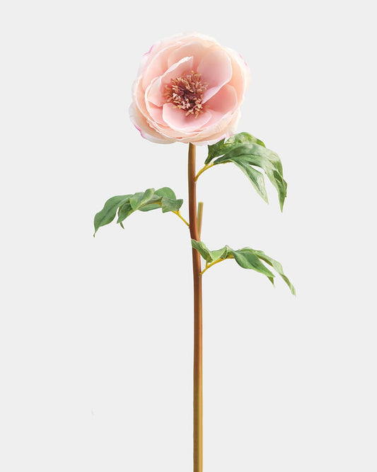 Pink Open Silk Peonies Lifelike