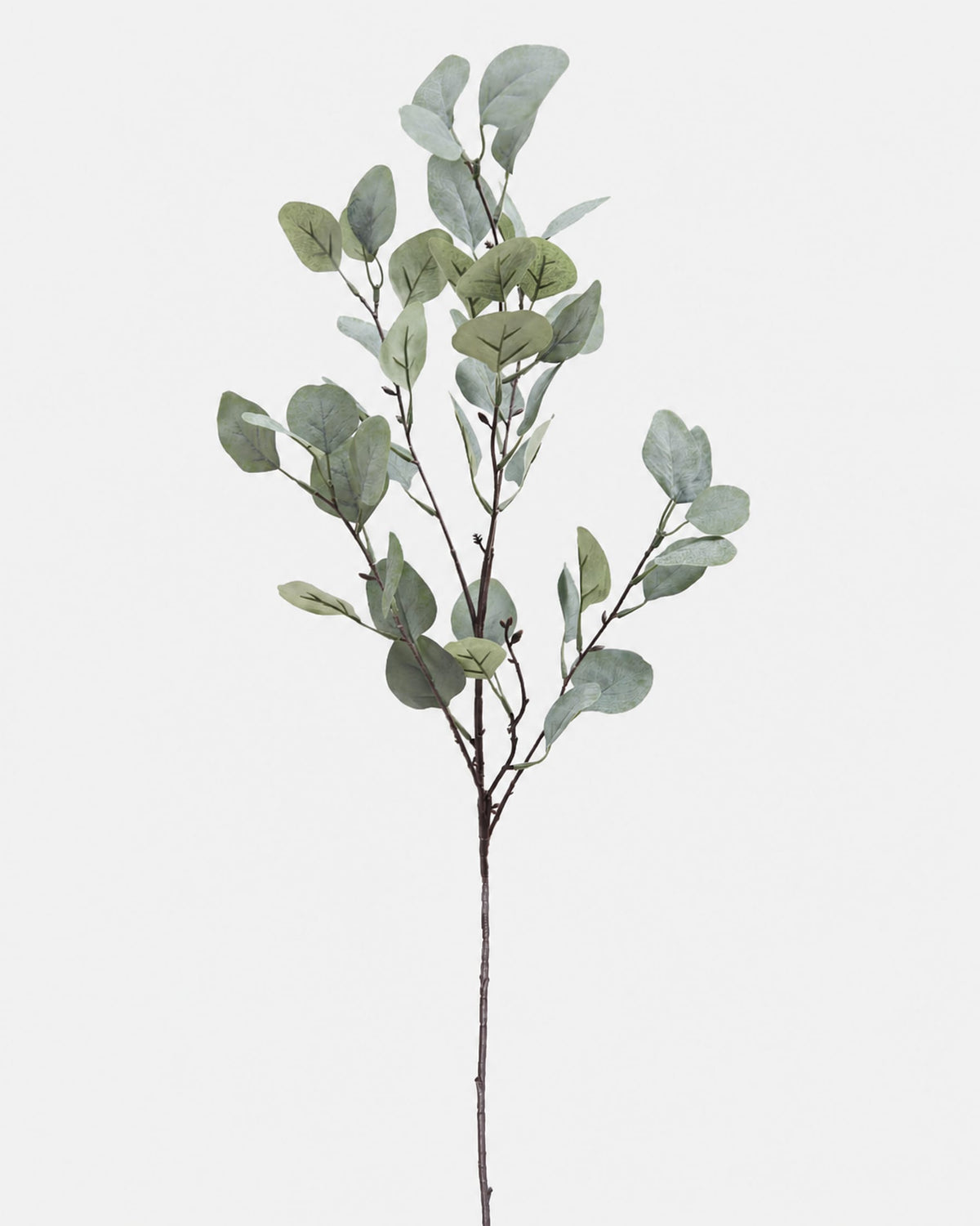 An artificial eucalyptus branch with muted green oval leaves on a thin brown stem, photographed against a plain light gray background.