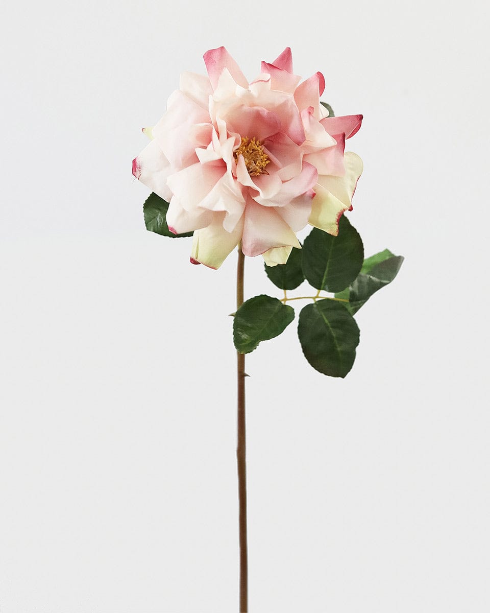 Prestige Botanicals Artificial Pink Duchess Rose