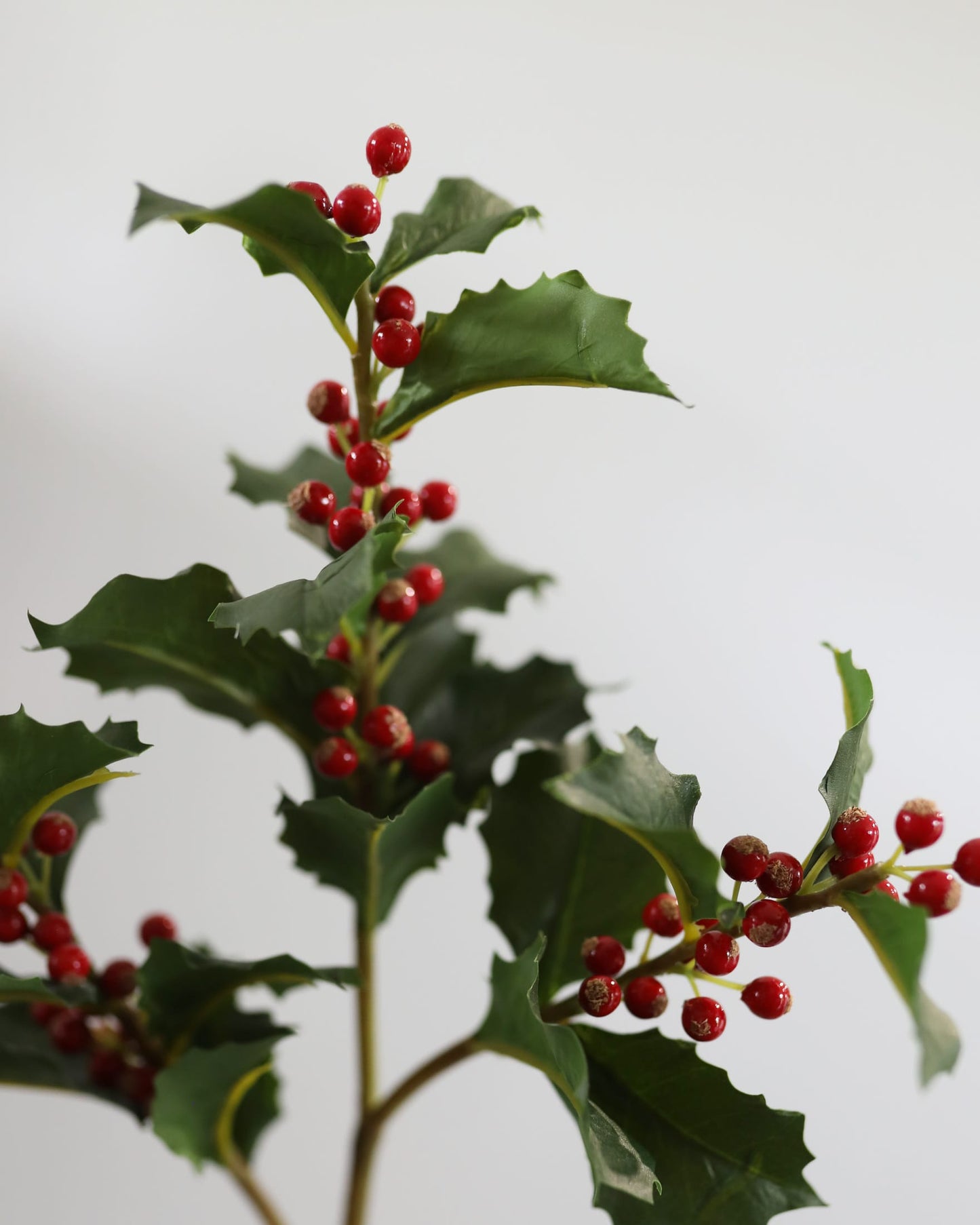 close up of artificial holly 