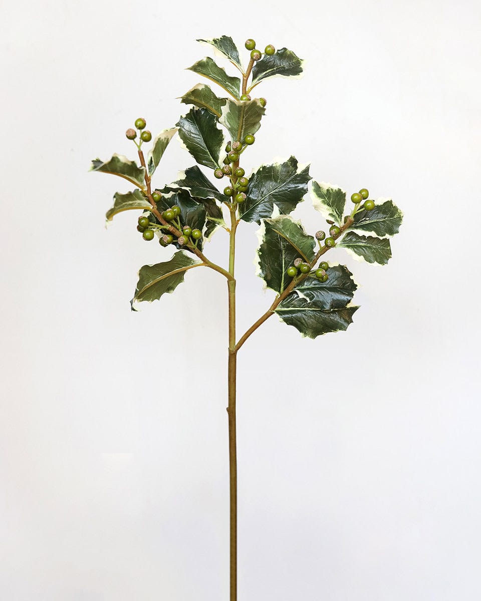 Prestige Botanicals Artificial Green Christmas Holly Stem
