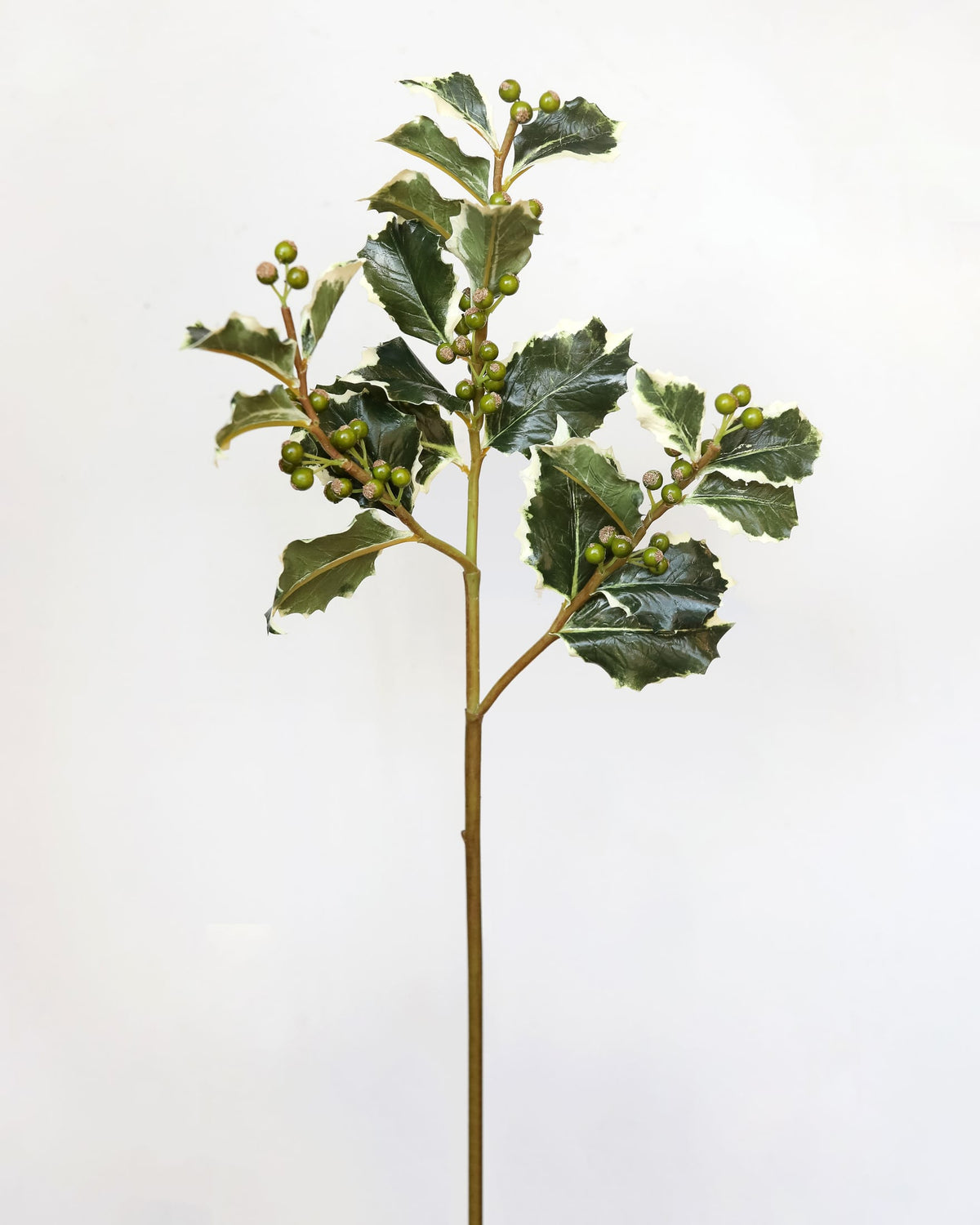 A single artificial holly branch with glossy dark green leaves and small green berries on a long brown stem, photographed against a plain white background.