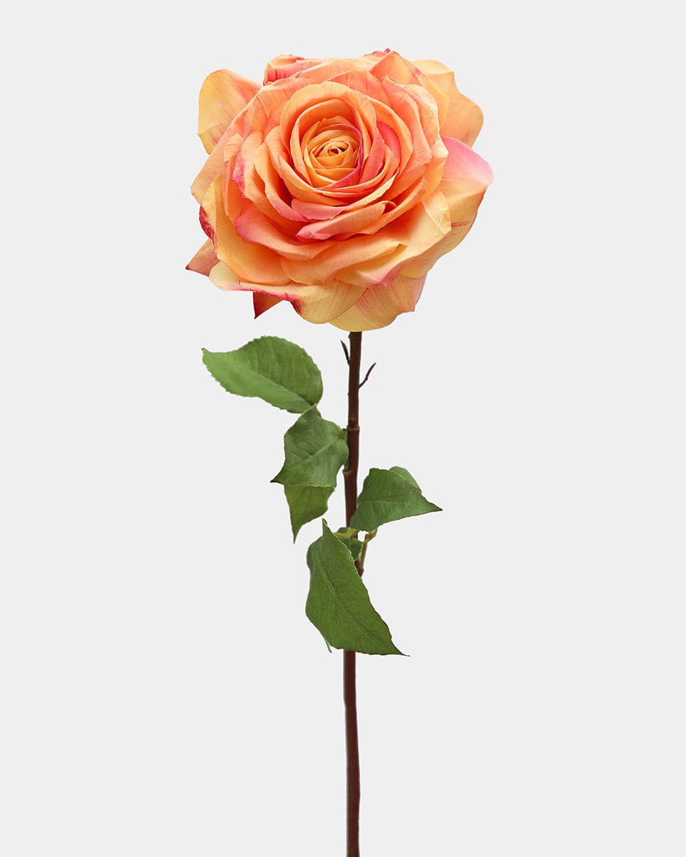 Coral Sunset Real Touch Large Rose