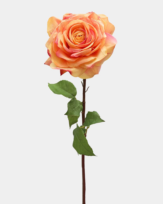 Coral Sunset Real Touch Large Rose