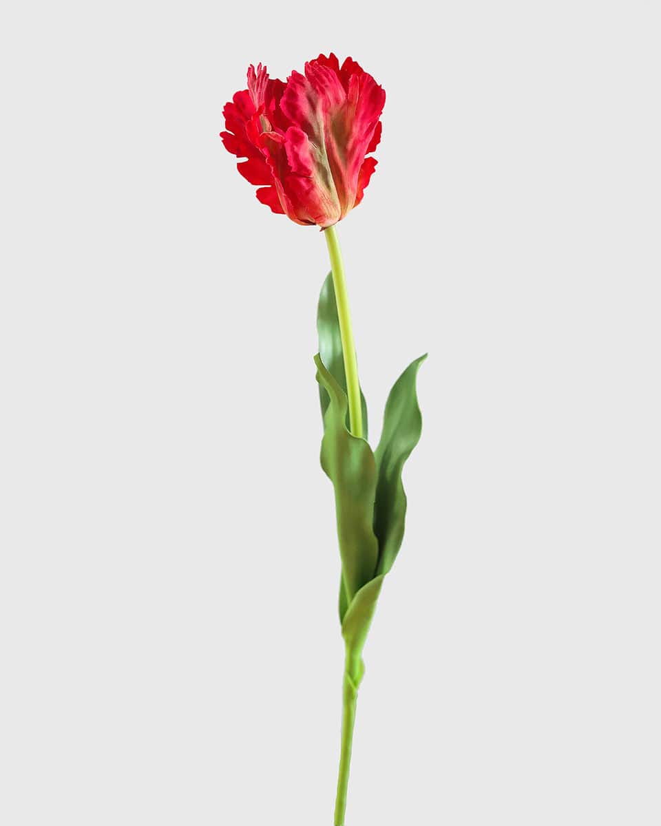 Prestige Botanicals Artificial Red Parrot Tulip