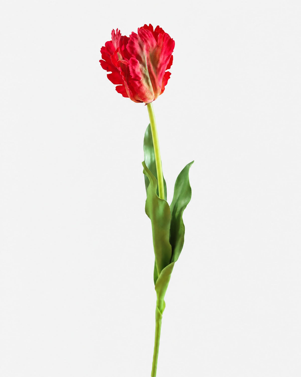 Single faux red tulip on a white background