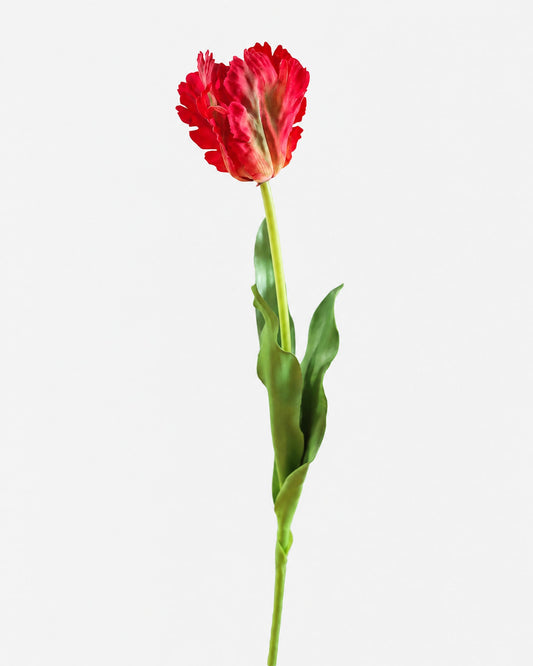Single faux red tulip on a white background