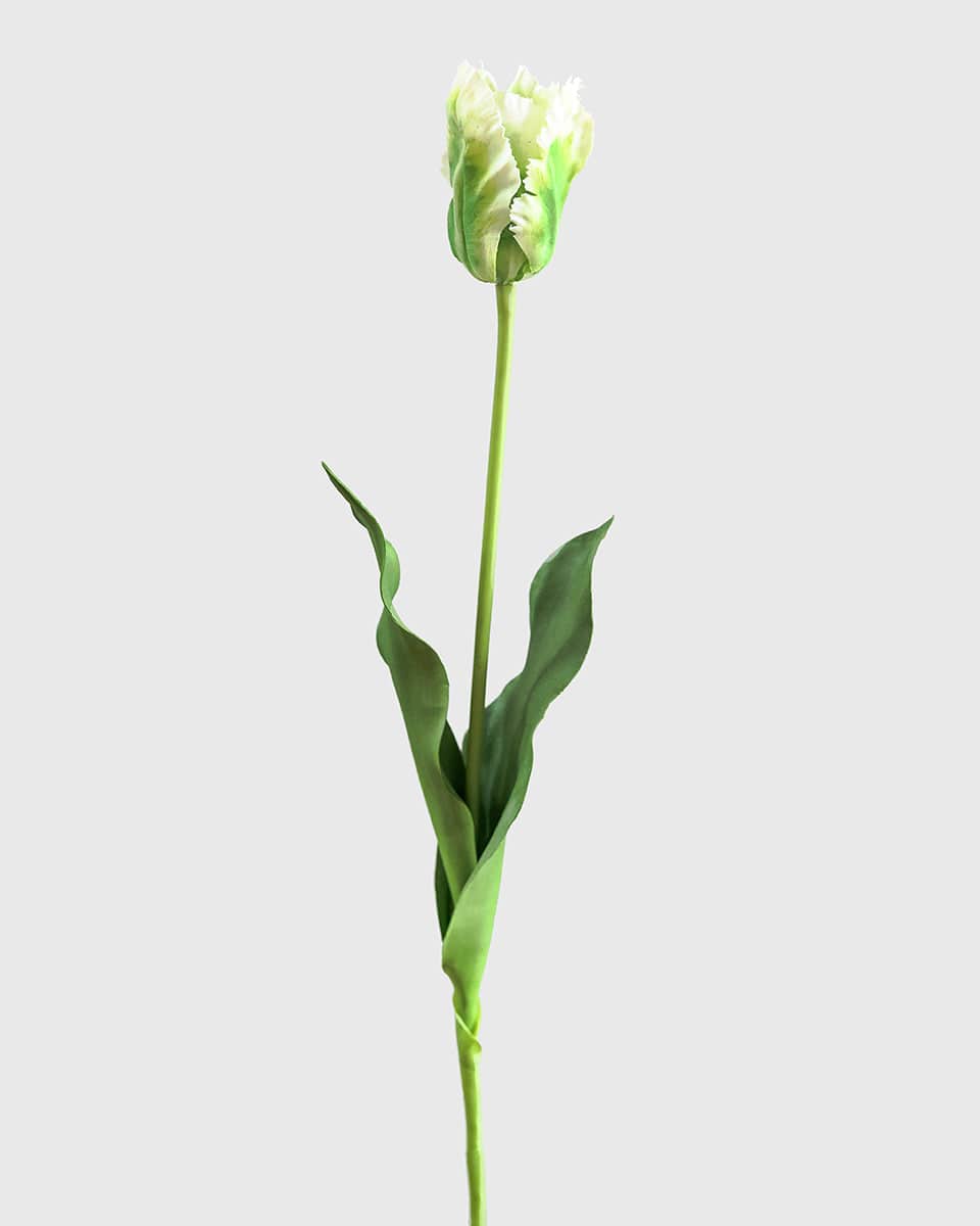 Prestige Botanicals Artificial Green White Parrot Tulip