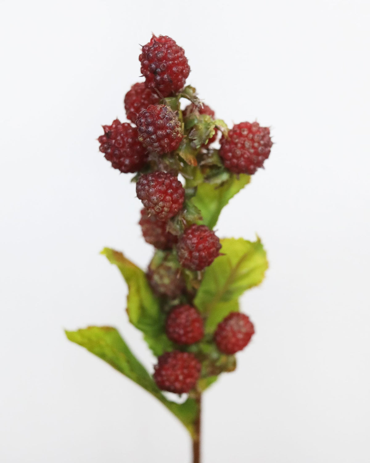 A single stem of faux raspberries, isolated on a plain white background.