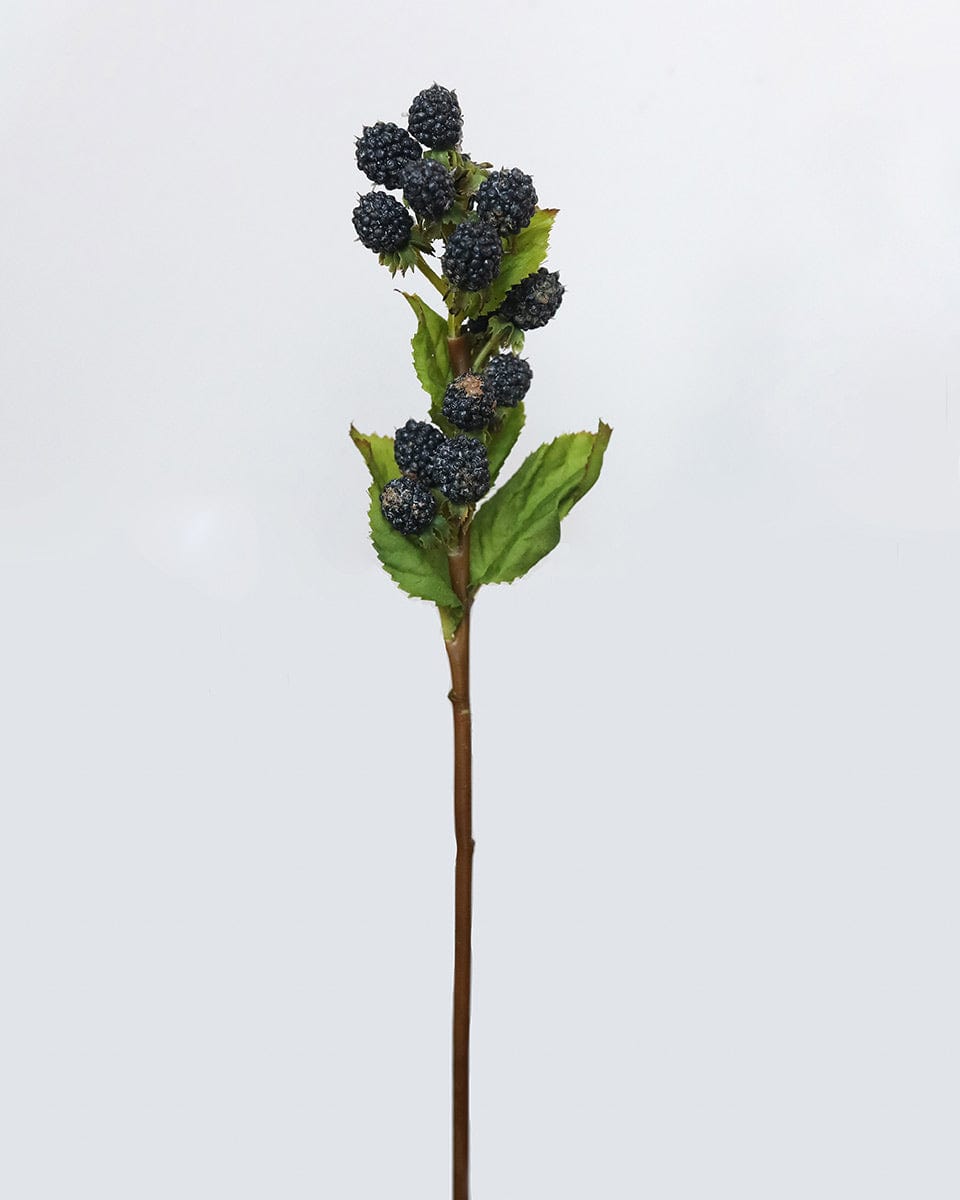 Prestige Botanicals Artificial Blackberry stem