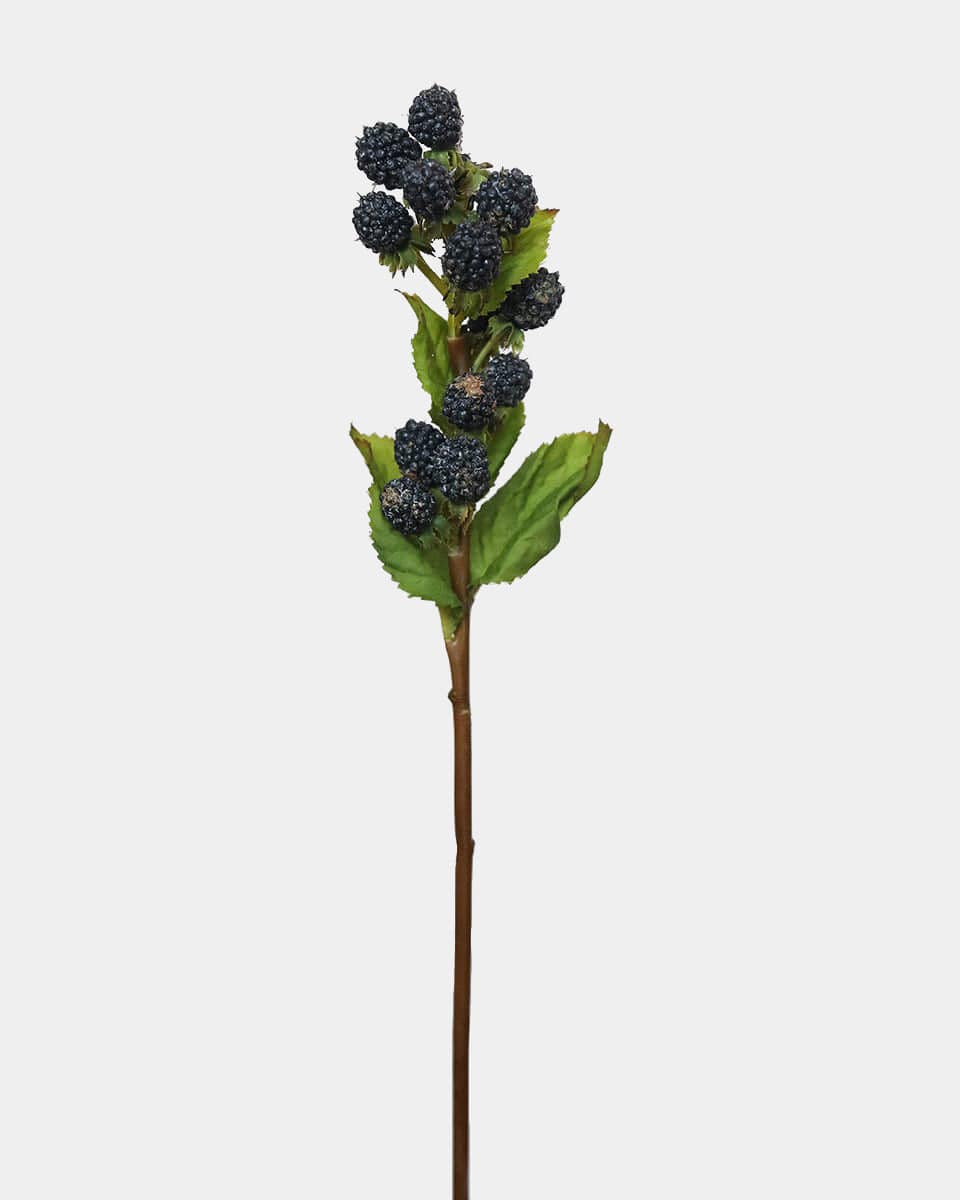 Prestige Botanicals Artificial Blackberry stem