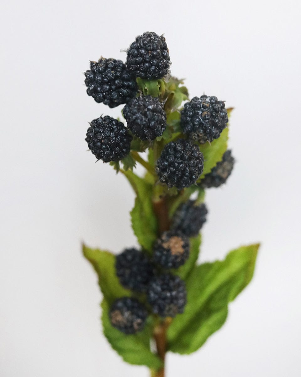 Prestige Botanicals Fake Blackberries stem close up