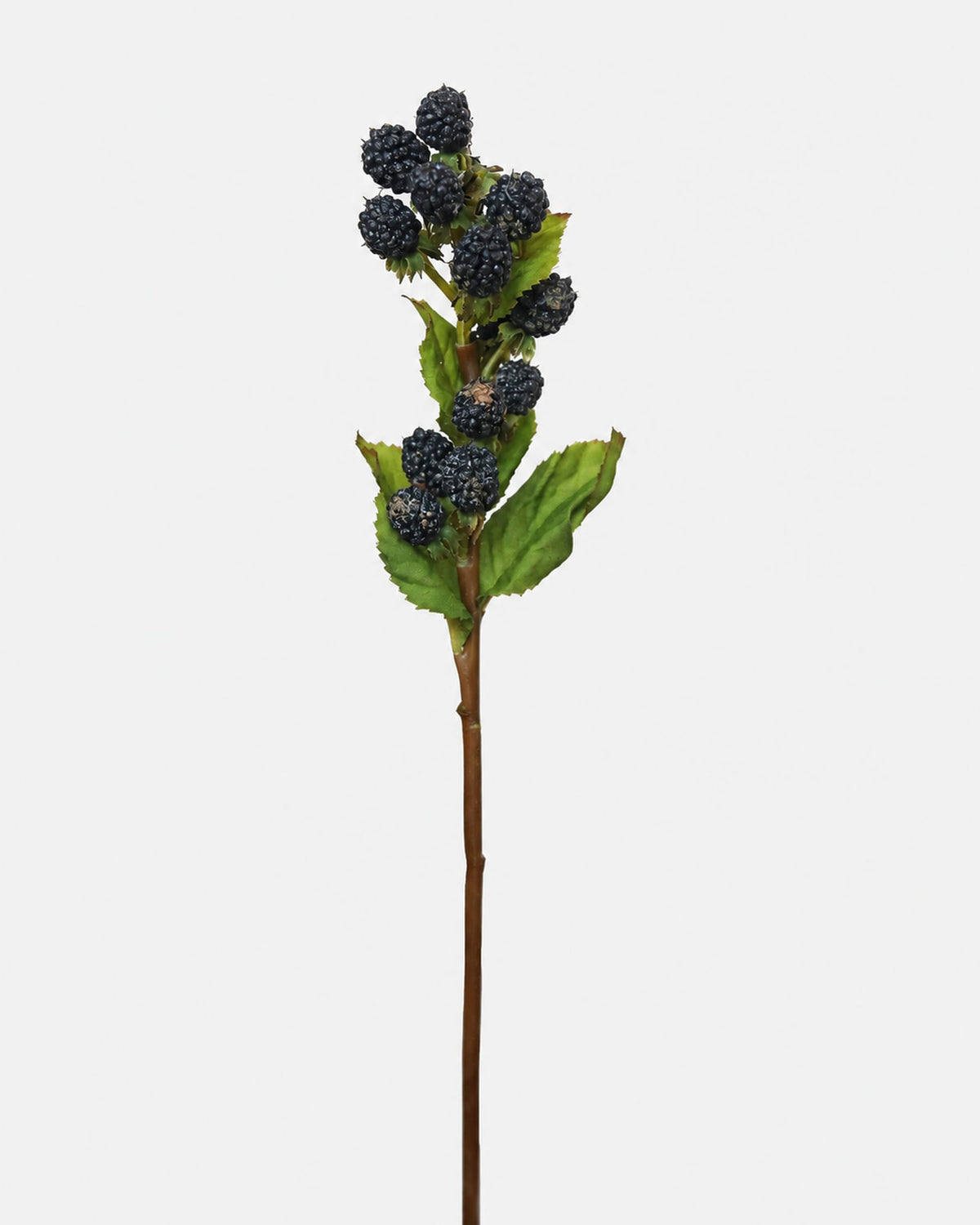 An artificial blackberry stem decoration with dark purple-black berries and green leaves on a brown stem, isolated on a light gray background.
