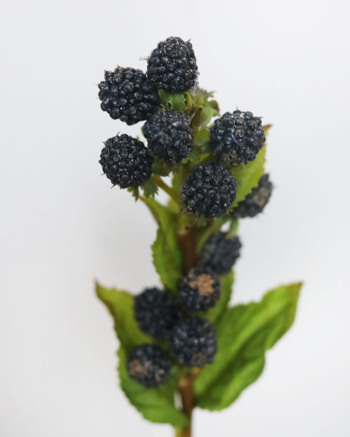 A close-up of a faux blackberry plant stem with multiple ripe dark purple-black berries and green leaves against a plain white background.