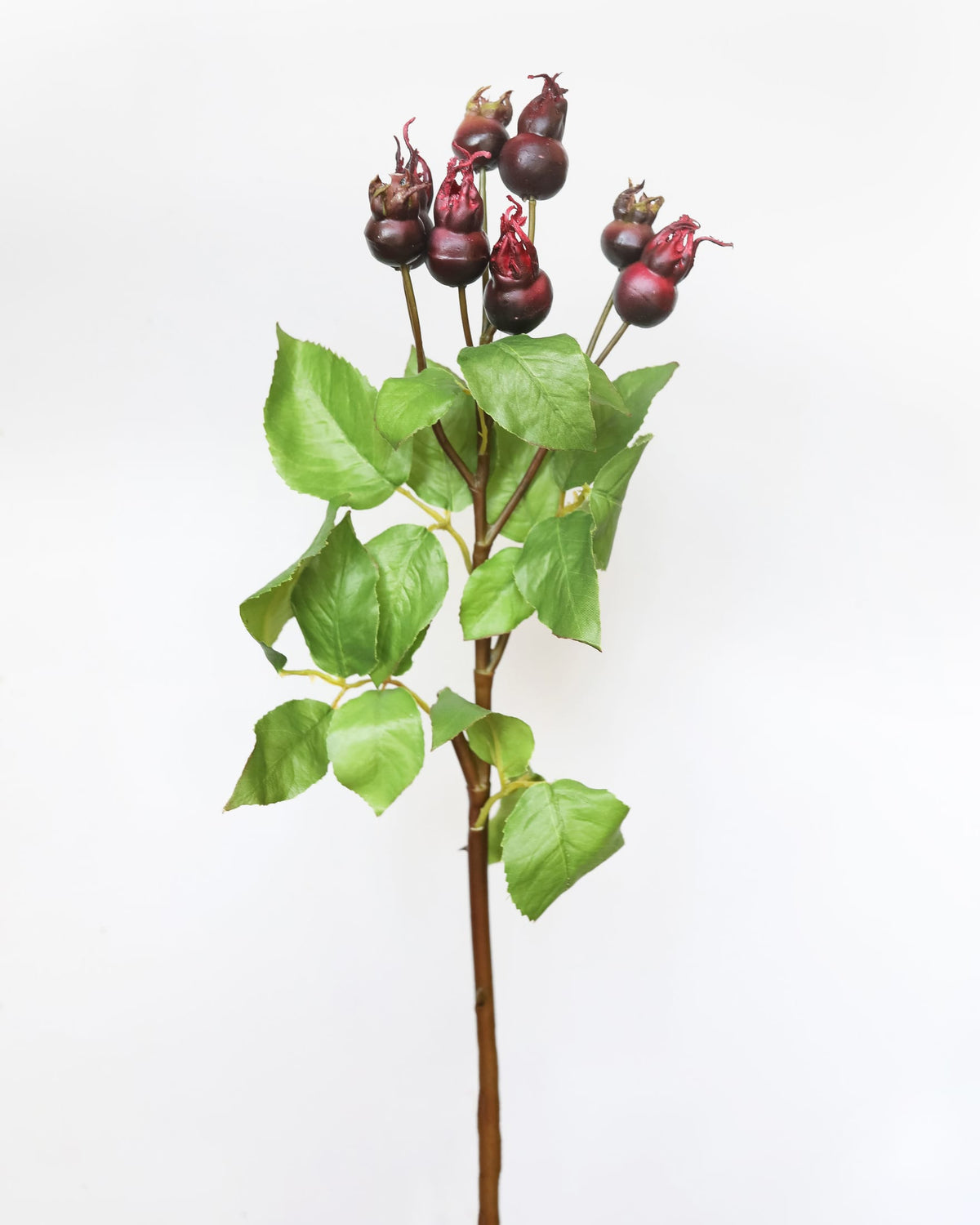 An artificial rosehip featuring green leaves and clusters of dark red, dried-looking rose buds, set against a plain white background.