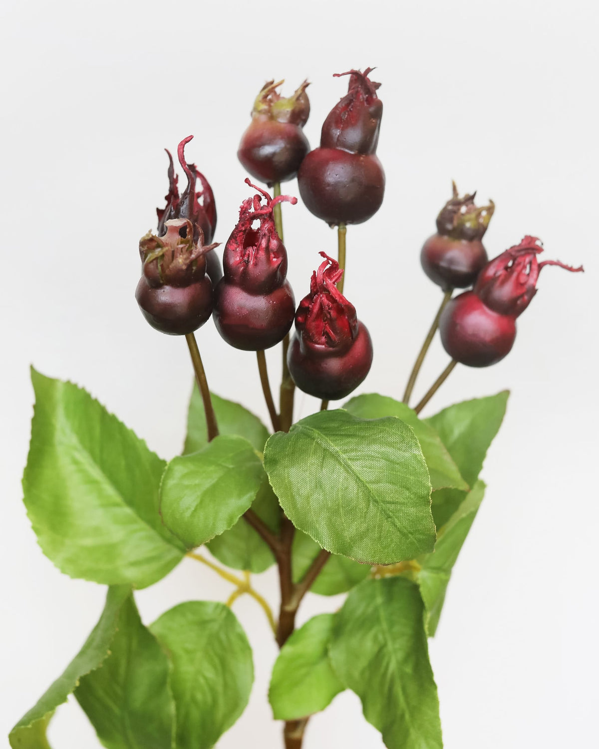 A decorative artificial floral arrangement featuring faux dark burgundy rose hips with green leaves on a plain white background.