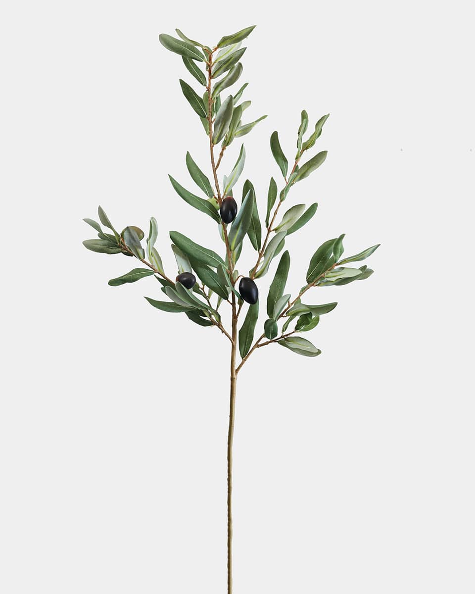 Prestige Botanicals pb-stem Artificial Olive Branch stem