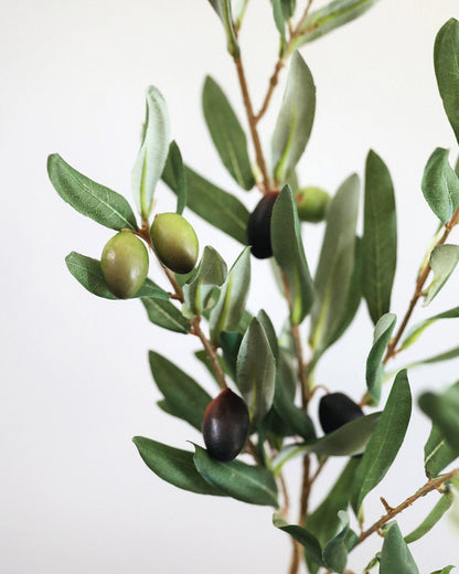 Artificial Olives and Olive Leaves Branch