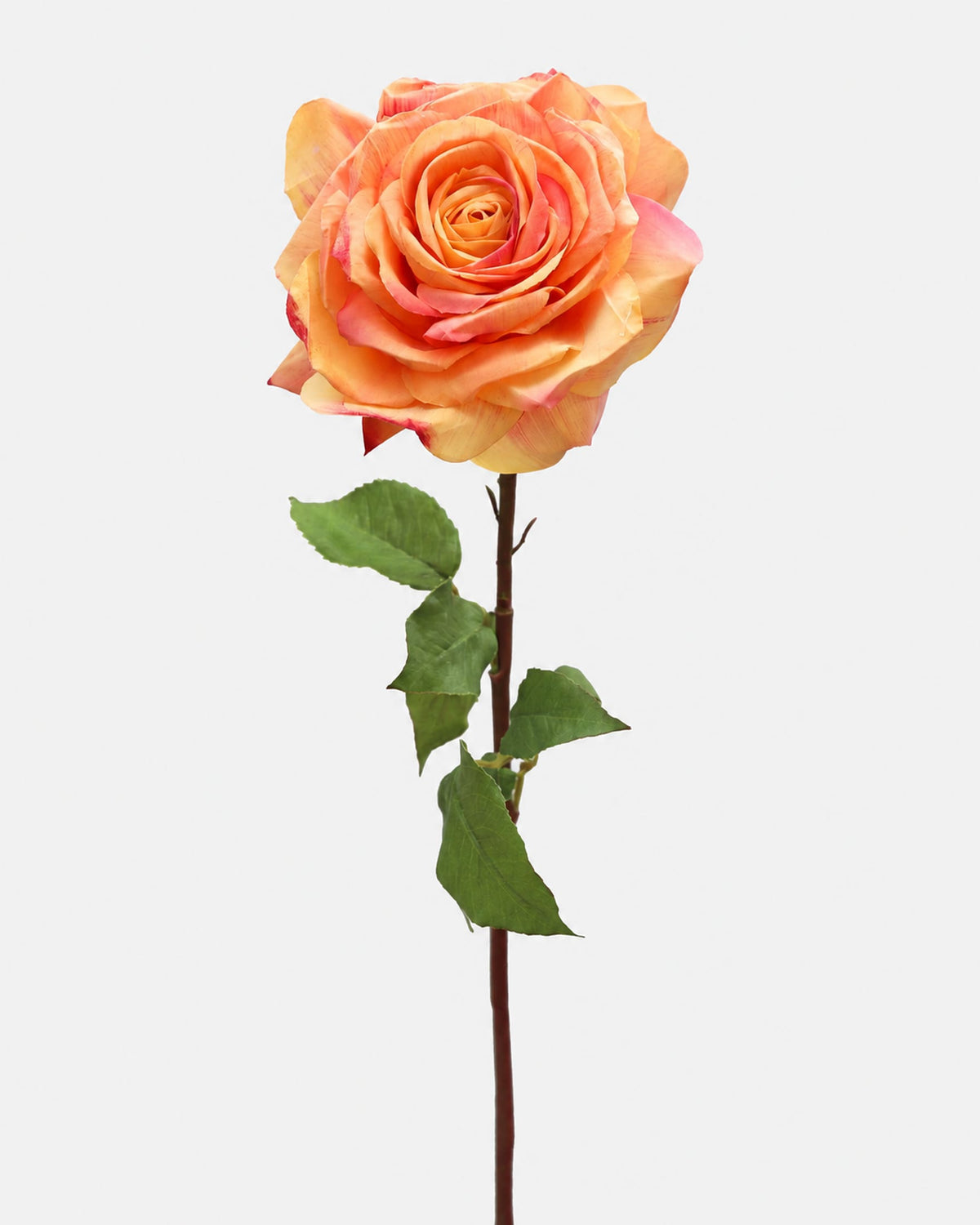 A single artificial rose stem with a peach and orange bloom, green leaves, and a brown stem, isolated on a light gray background.