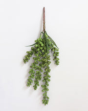 plastic string of pearls plant Faux String of Pearls Plant