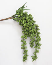 faux string of pearls plant in textured pot Faux String of Pearls Plant