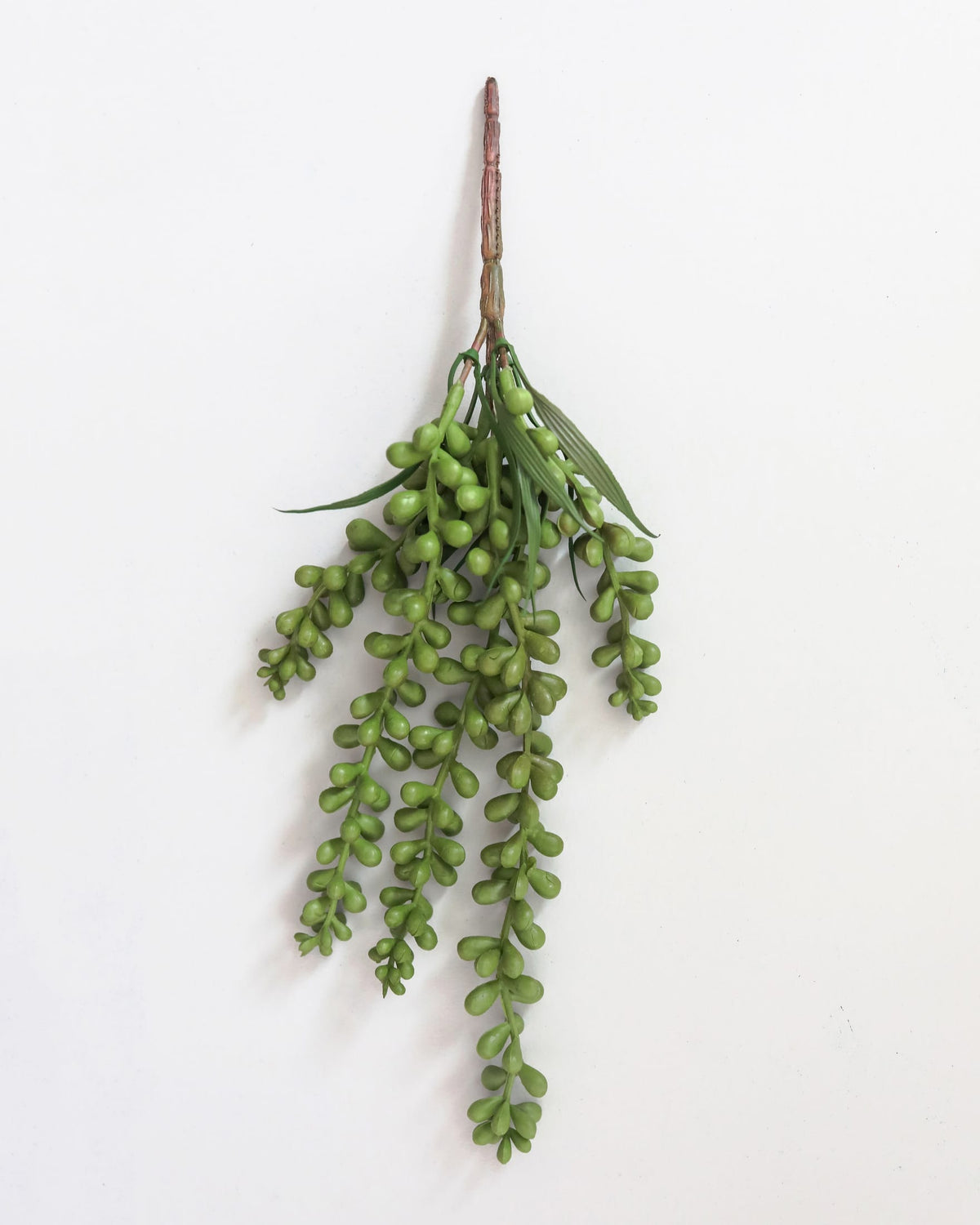 An artificial string of pearls against a plain white background.