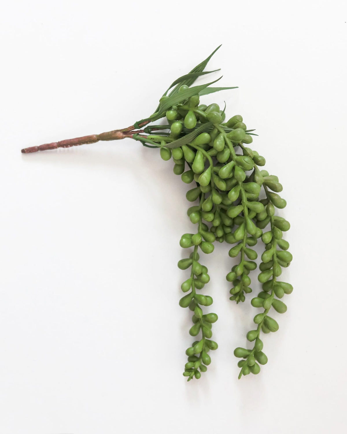 An artificial string of pearls, photographed on a plain white background.