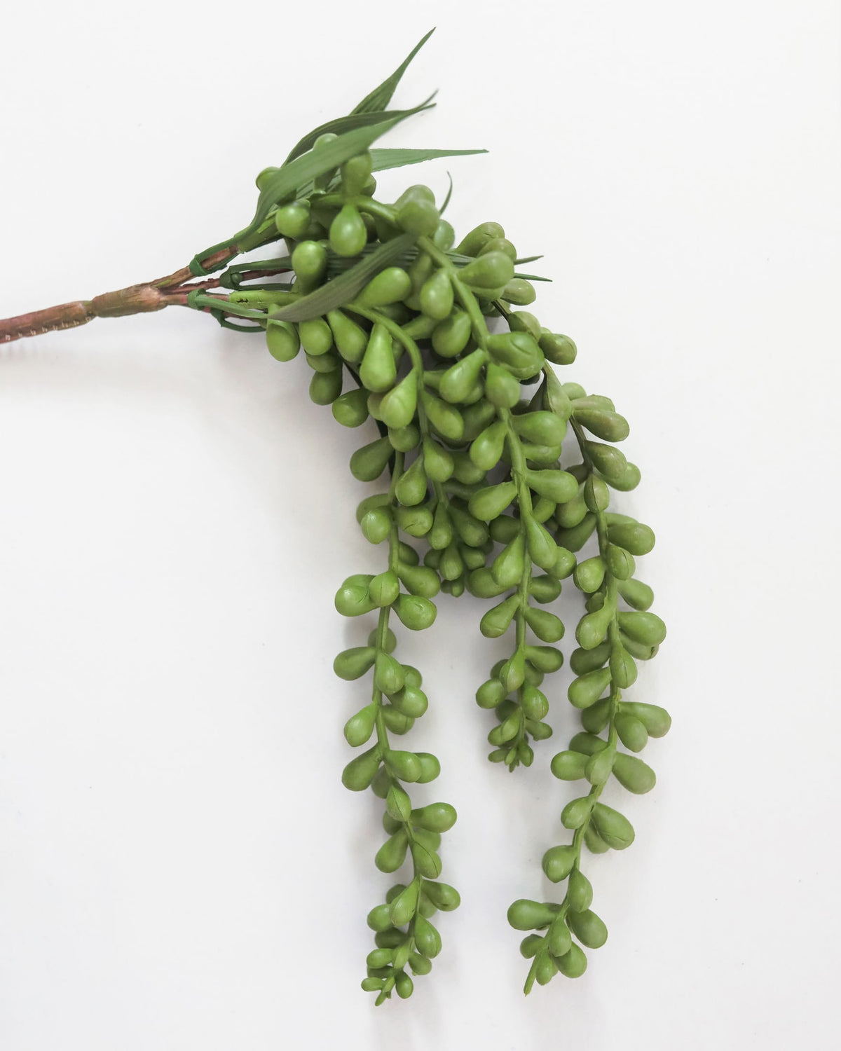 A green artificial string of pearls, photographed against a plain white background.