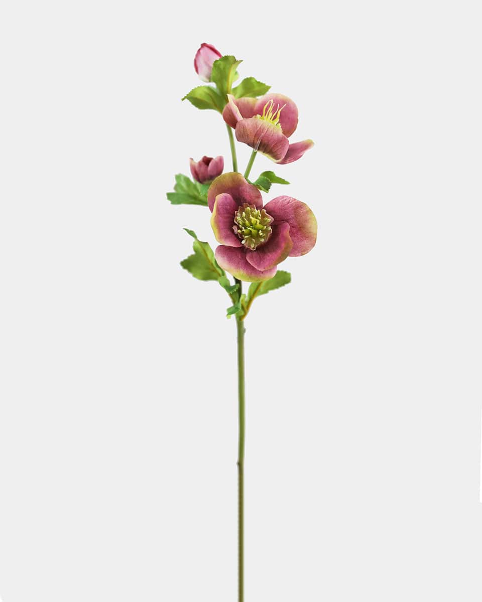 Prestige Botanicals Artificial Mauve Anemone Flower stem