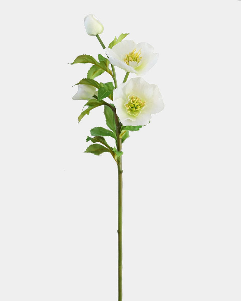 White Artificial Hellebore Flowers