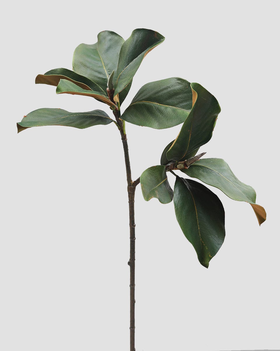 Artificial Magnolia Leaf Spray 25"