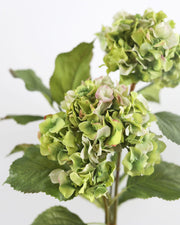 Artificial Blue Double Hydrangea 36