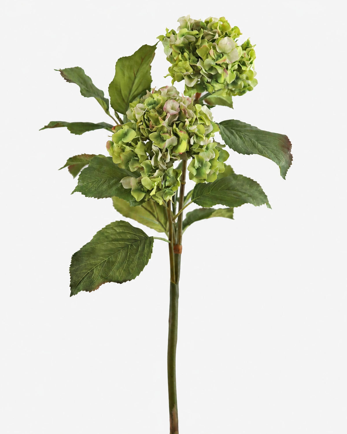 An artificial green hydrangea stem with two clustered flower heads and several green leaves, photographed against a plain light gray background.