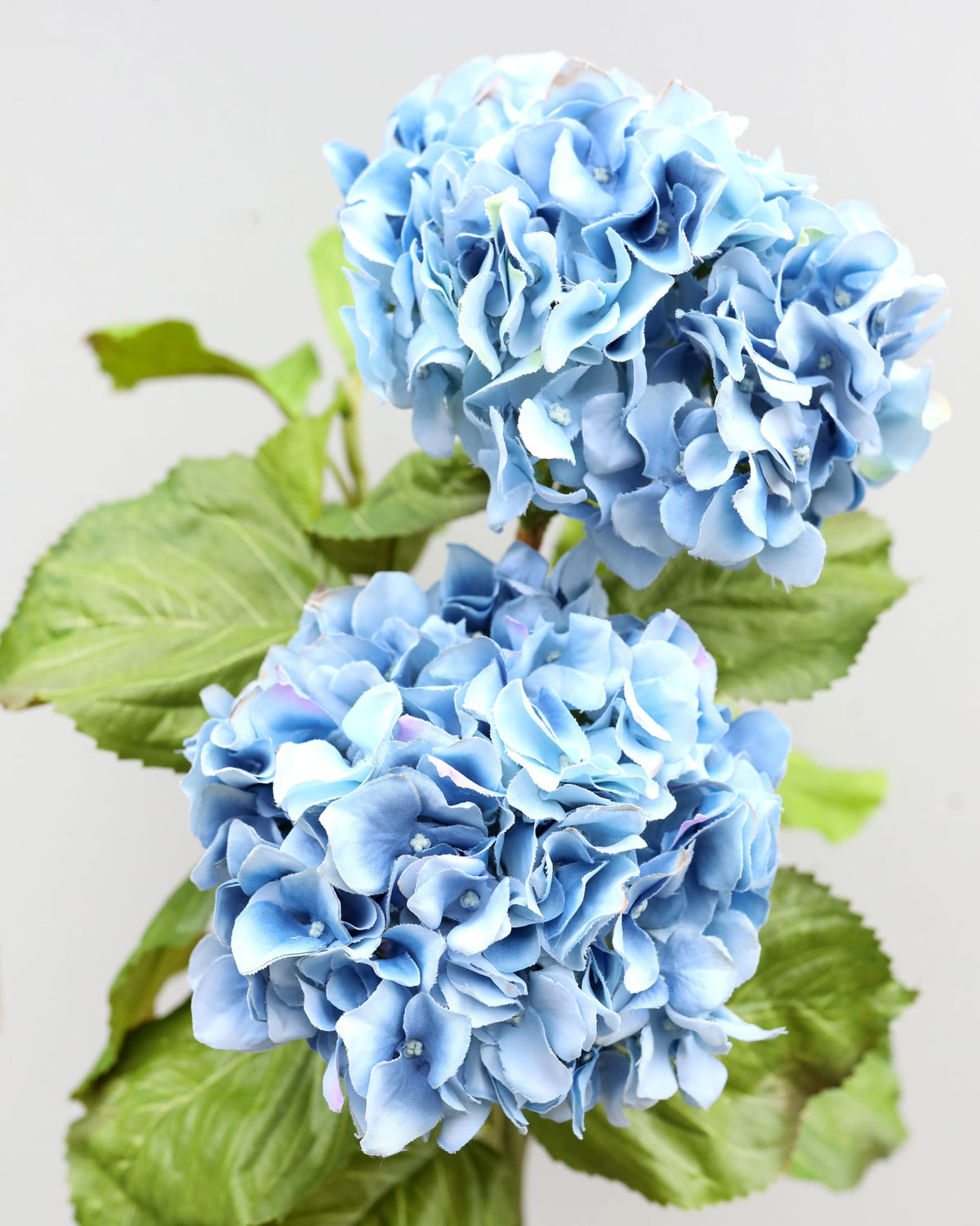 Two blue faux hydrangea flowers with green leaves on a light gray background