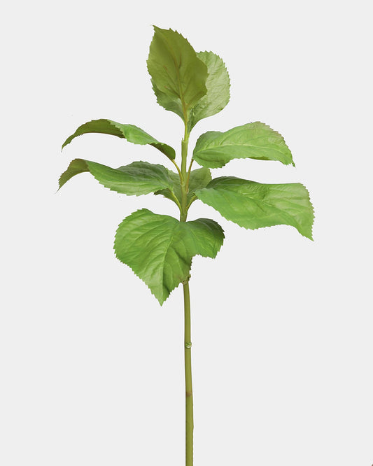 Green leafy fake hydrangea on a white background