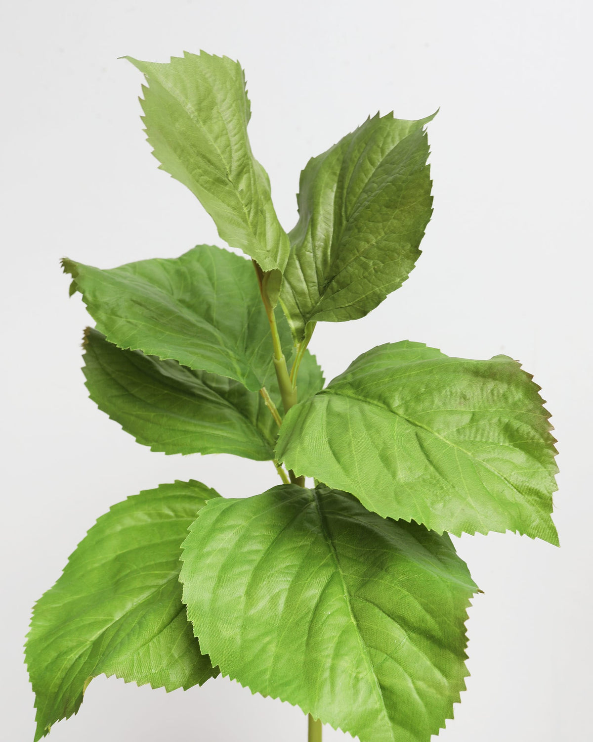 Close-up of faux hydrangea leaves on a light gray background
