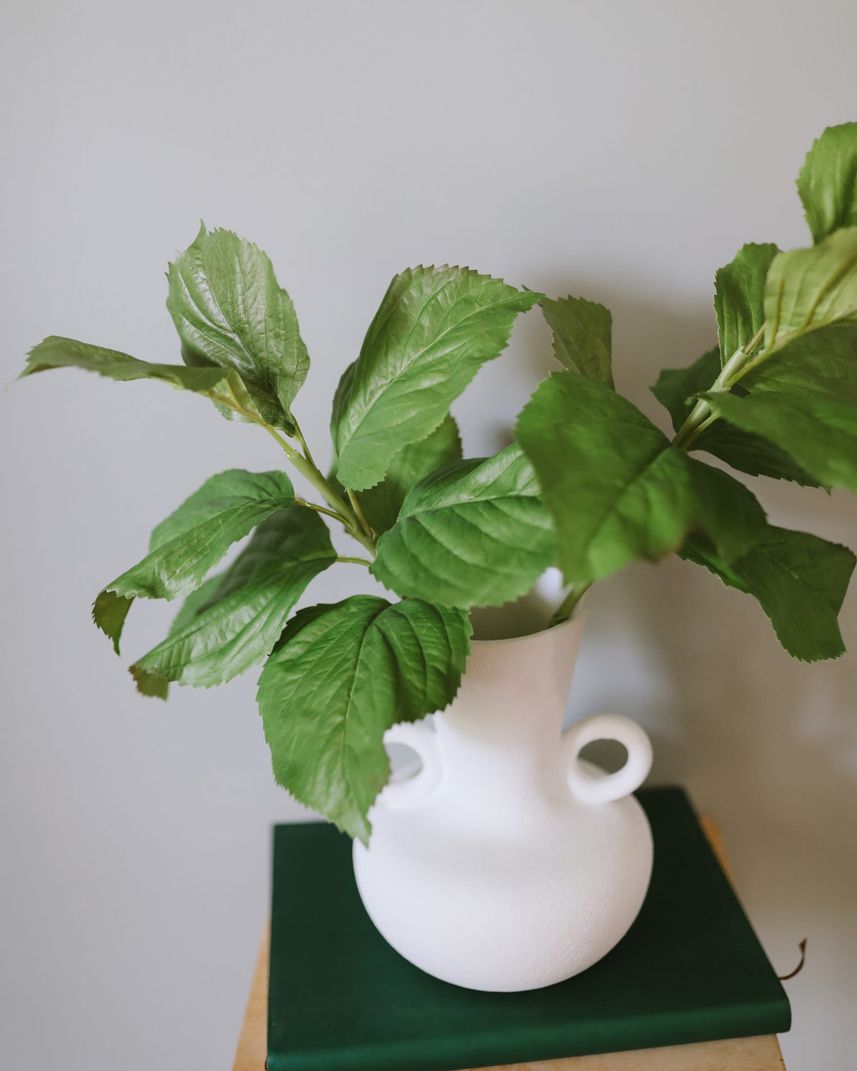 White vase with green faux hydrangea leaves on a white background