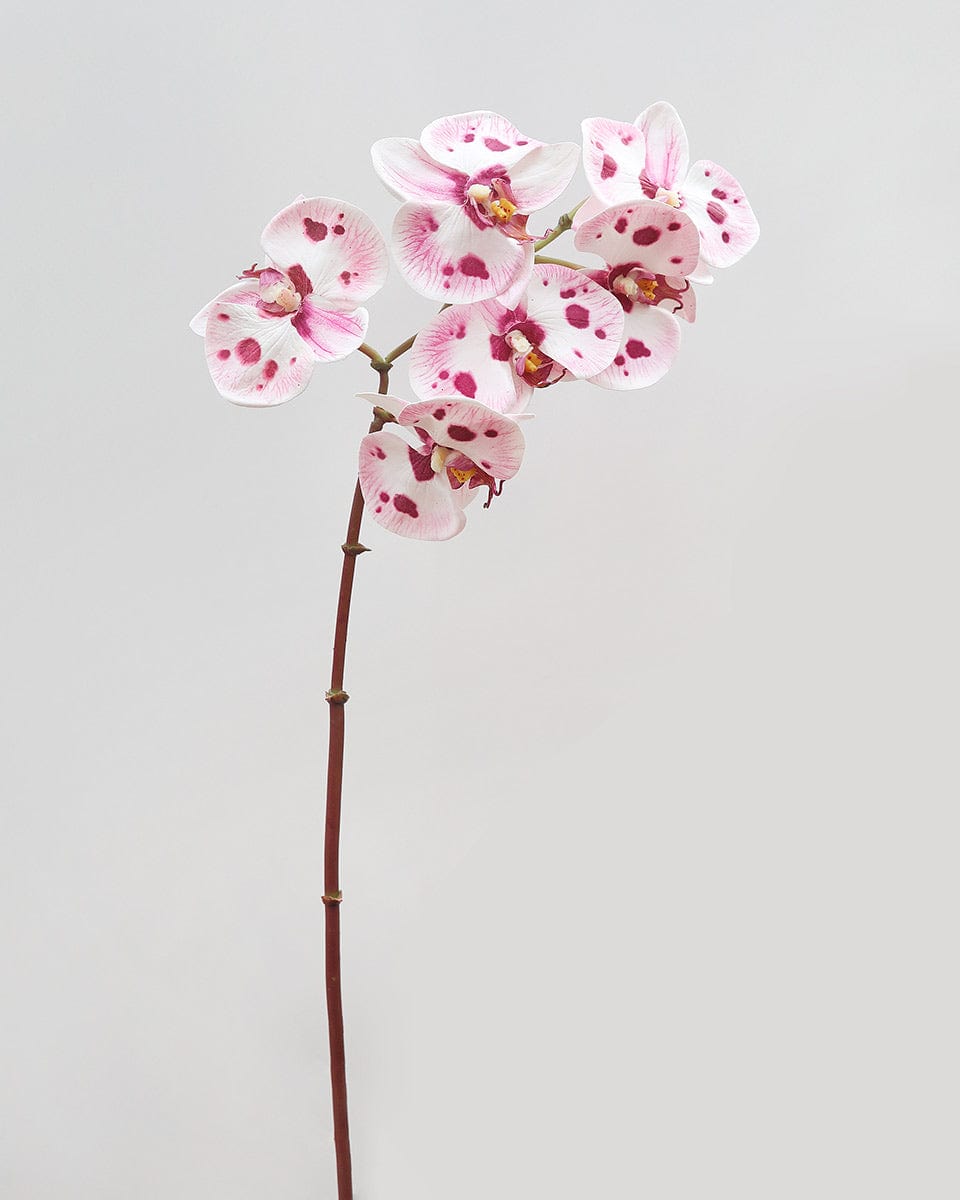 Artificial Orchids Pink and White Spotted Phalaenopsis