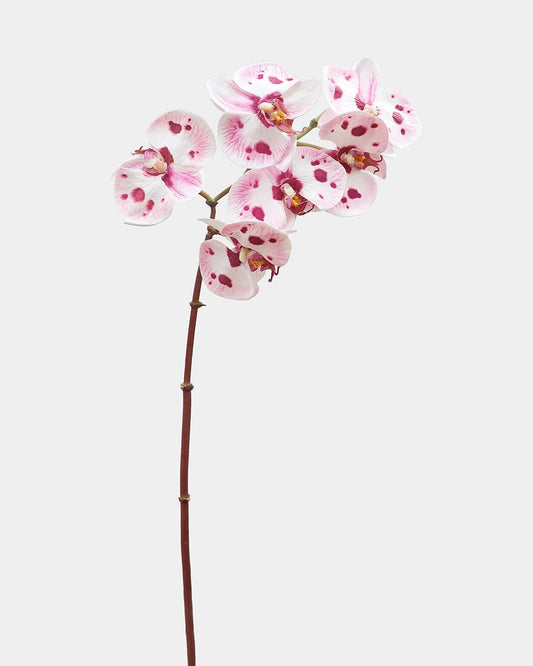 Artificial Orchids Pink and White Spotted Phalaenopsis