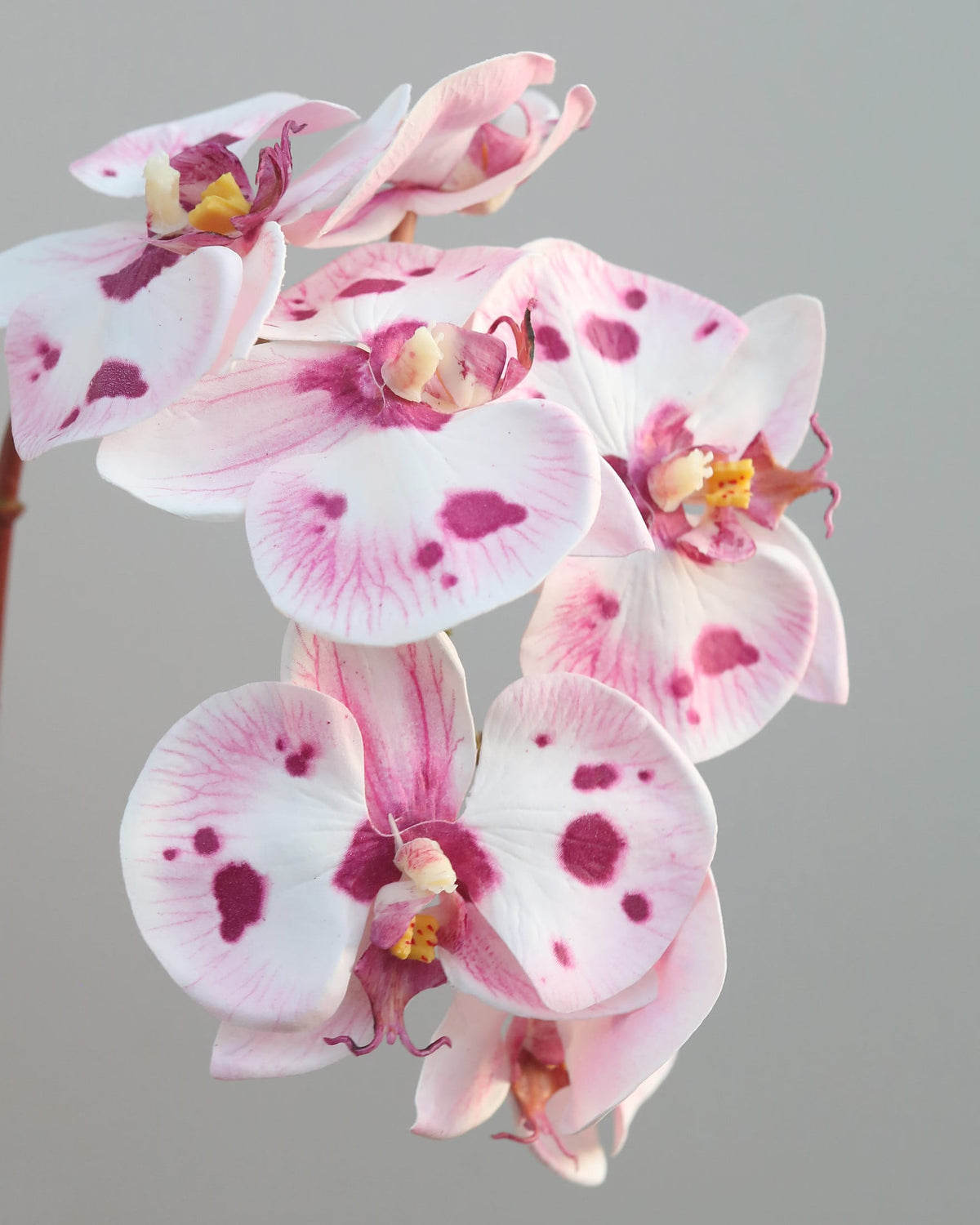 Pink and white spotted faux Phalaenopsis orchid flowers with yellow centers, shown in a close-up studio shot against a soft gray background.