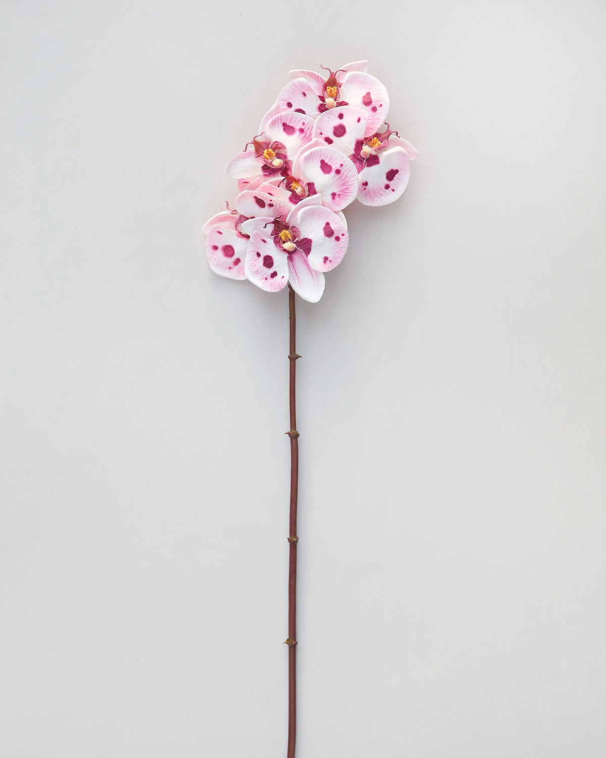 A single artificial orchid stem with light pink flowers speckled with darker pink and purple spots, set against a plain light gray background.
