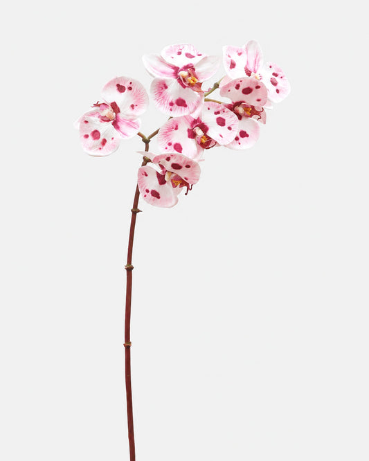 A single long-stemmed faux orchid flower with pale pink to white petals speckled with magenta spots, photographed against a plain light gray background.