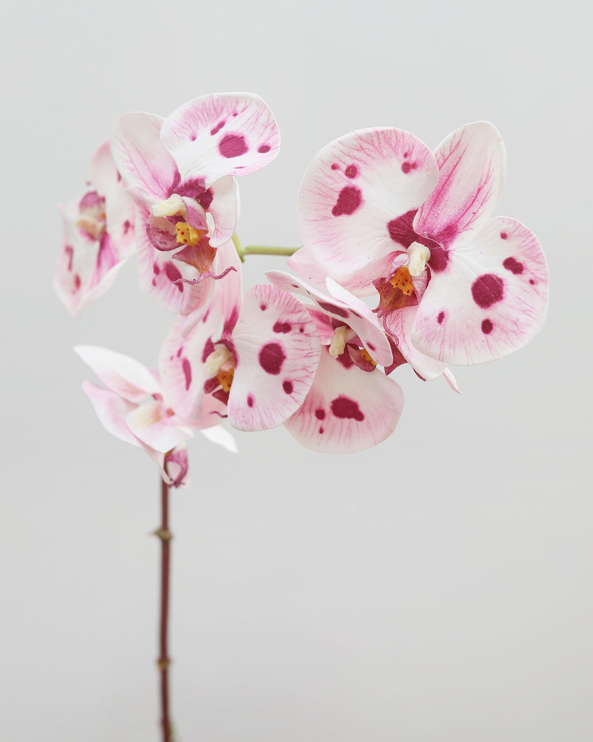 A close-up of a faux Phalaenopsis orchid stem with several flowers. The petals are white with pink edges and dark magenta spots, set against a plain light gray background.