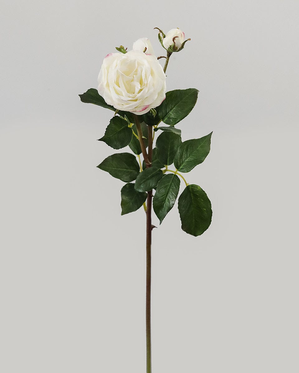 Prestige Botanicals Artificial White Ecuadorian Rose