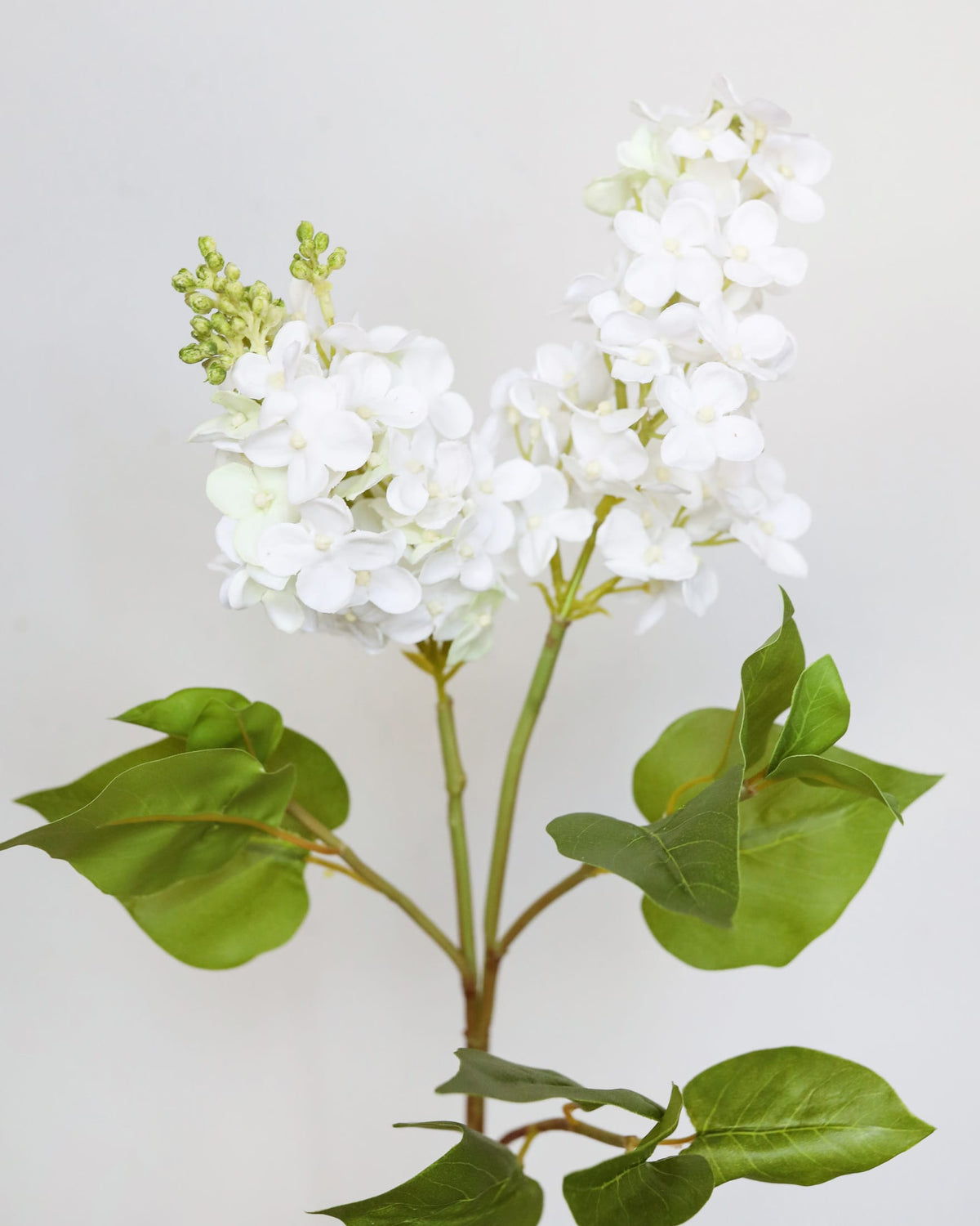 Artificial white lialc flower branch with green leaves on a light gray background
